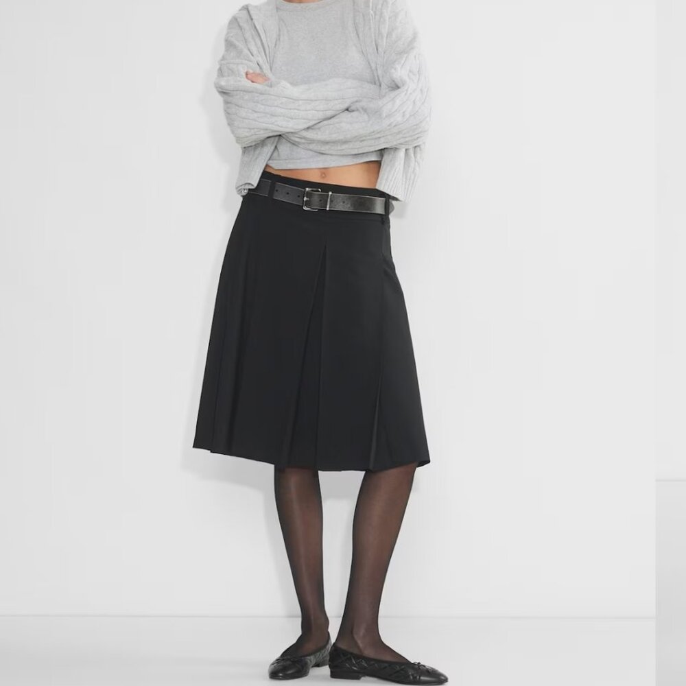 Aritzia Cornetto Pleated Skirt